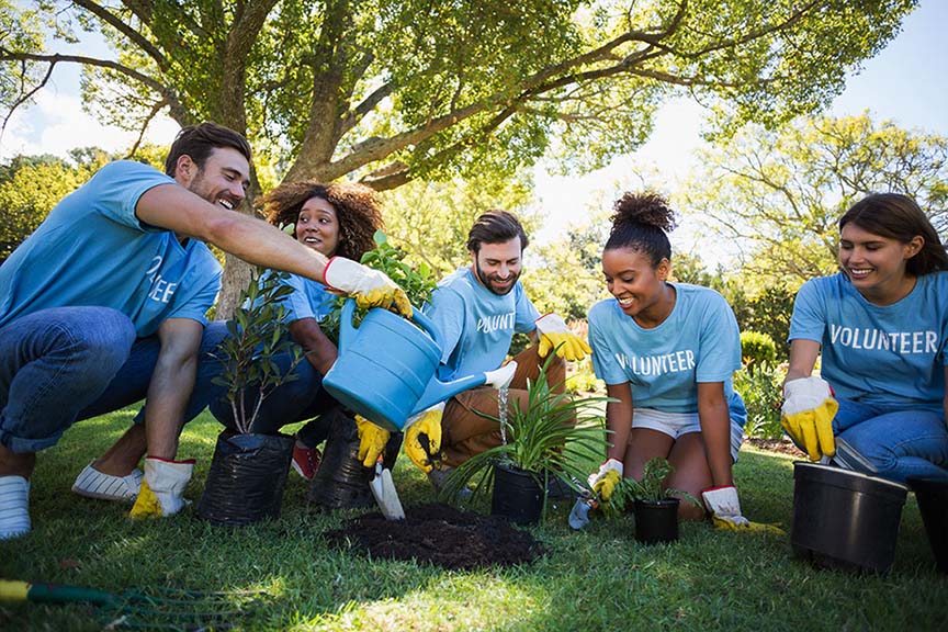 group-of-volunteer-planting-2021-08-28-17-20-48-utc-1.jpg