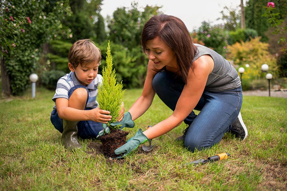 mom-and-son-planting-plant-together-in-garden-2022-09-27-00-42-28-utc-1.jpg